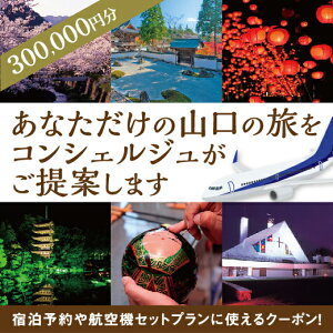 A002yӂ邳Ɣ[Łz RI[_[Chsvi300000~j