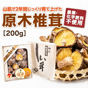 D103yӂ邳Ɣ[ŁzRnY؍͔|200g