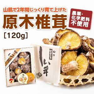 D190yӂ邳Ɣ[ŁzRnY؍͔|120g