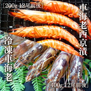 D037yӂ邳Ɣ[ŁzYԊCVЂƊYⓀԊCVlߍ킹Zbg
