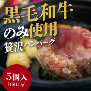 D226【ふるさと納税】黒毛和牛100%ハンバーグ5個入り