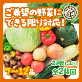 A028【ふるさと納税】わがままお野菜定期便（24回）
