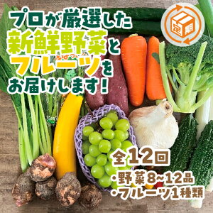 A035yӂ邳Ɣ[Łẑ؂ƃt[c̒ցi12j