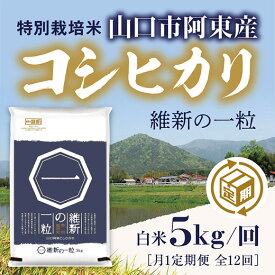 A047【ふるさと納税】維新の一粒5kg×12袋（月1定期便）（精米）