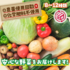 A034【ふるさと納税】安心お野菜定期便（12回コース）