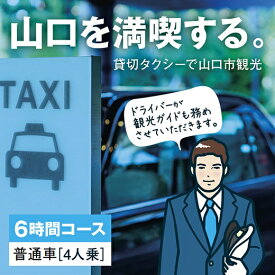 A043【ふるさと納税】観光タクシー・フリープラン《6時間コース》