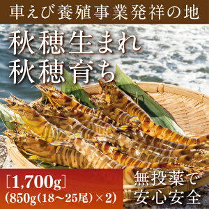 B056yӂ邳Ɣ[ŁzYԊCViсj1700gi850gi18`25j×2jy{Bz