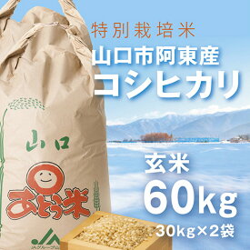 B004【ふるさと納税】特別栽培米阿東産コシヒカリ玄米60kg