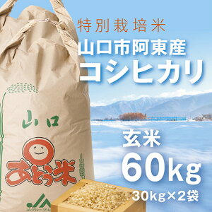 A096yӂ邳Ɣ[Łzʍ͔|ĈYRVqJ60kg