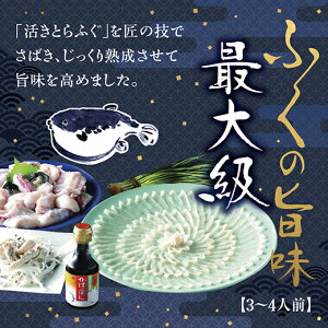 B050【ふるさと納税】とらふく三昧(3〜4人前)