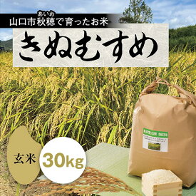 B044【ふるさと納税】あいお（秋穂）で育ったお米　きぬむすめ　玄米30kg