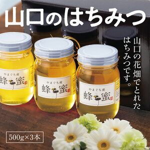 C033yӂ邳Ɣ[ŁzR݂̂͂@500g×3{