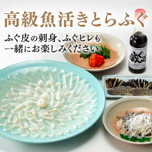 C026yӂ邳Ɣ[ŁzƂӂ̎hgi33cmvMj