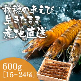 D024【ふるさと納税】活きあいおえび600g（15〜24尾）