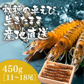 D090【ふるさと納税】活きあいおえび450g（11〜18尾）