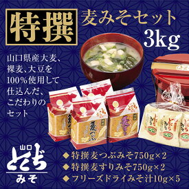 D124【ふるさと納税】とくぢ味噌特撰詰め合わせ3kg