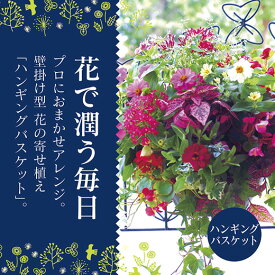C053【ふるさと納税】花うるる おまかせハンギング 寄せ植え Mサイズ(完成品 鉢 鉢植え 壁掛け ハンギングバスケット 通販 プレゼント おしゃれ 珍しい 苗 玄関 屋外 フラワーギフト 誕生日 花苗 ギャザリング 冬 プランター ハンキング 花飾り 園芸 アレンジメント 春