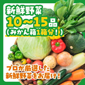 D196【ふるさと納税】ぶちうま！山口の新鮮お野菜BOX