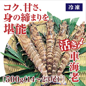 D097yӂ邳Ɣ[ŁzߗⓀԂ500g