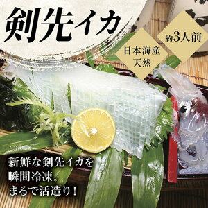 D262【ふるさと納税】瞬冷まるで活造り!冷凍日本海産剣先いか(約3人前)
