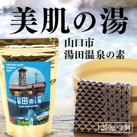 D315【ふるさと納税】温泉の素「湯田の湯」（250g×2個）