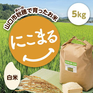 D420yӂ邳Ɣ[ŁziHjň ɂ܂  5kg