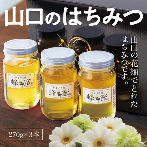 D028yӂ邳Ɣ[ŁzR݂̂͂@270g×3{