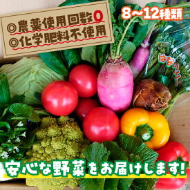 D116【ふるさと納税】安心野菜ボックス