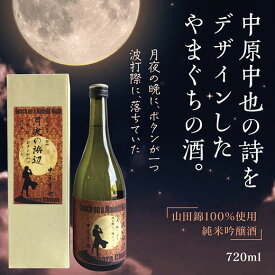 E053【ふるさと納税】月夜の浜辺　純米吟醸酒