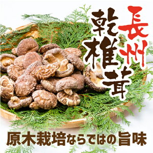 E093yӂ邳Ɣ[ŁzBőz[@35g×3
