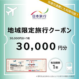 A107【ふるさと納税】 山口市宿泊プランコーディネート券（30000円分）日本旅行 地域限定旅行クーポン