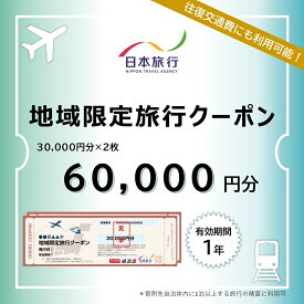 A108【ふるさと納税】 山口市宿泊プランコーディネート券（60000円分）日本旅行 地域限定旅行クーポン