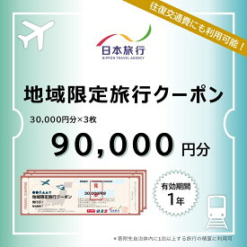 A109【ふるさと納税】 山口市宿泊プランコーディネート券（90000円分）日本旅行 地域限定旅行クーポン