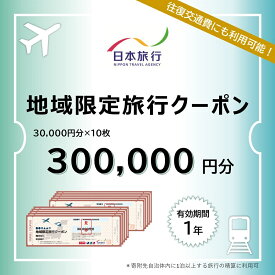 A111【ふるさと納税】 山口市宿泊プランコーディネート券（300000円分）日本旅行 地域限定旅行クーポン