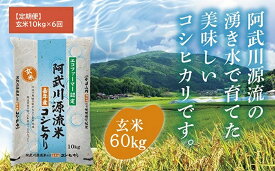 A116【ふるさと納税】 【定期便】阿武川源流米コシヒカリ玄米60kg(10kg×6回)