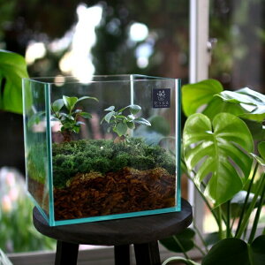 D011yӂ邳Ɣ[Łz ϗtA [eE MTCY] (Ԃ _ CeA Mtg v[g  ϗt KW} KX P[X i ~jϗt ~ ANAE  