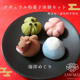 D244【ふるさと納税】ナチュラル和菓子体験キット（こしあん）