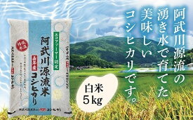 D540【ふるさと納税】 阿武川源流米コシヒカリ白米5kg