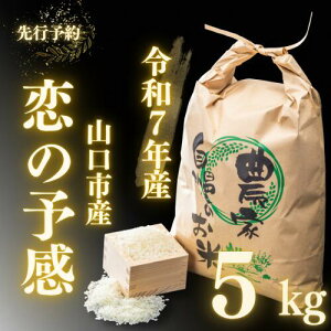 D397yӂ邳Ɣ[Łz _ƒIRsYVāu̗\v5kg
