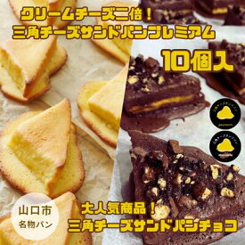 D425【ふるさと納税】 三角チーズサンドパンプレミアム5個・チョコ5個入