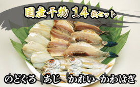【ふるさと納税】干物 セット 14枚 4種 のどぐろ あじ かれい かわはぎ 魚 国産 NM