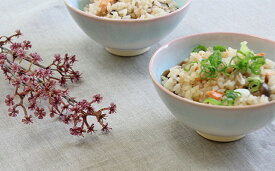 【ふるさと納税】萩焼 ミント お茶碗 ペアセット