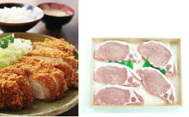 【ふるさと納税】萩むつみ豚 トンカツ用ロース肉　120g×5枚