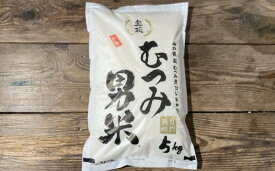 【ふるさと納税】自然栽培 むつみ男米 玄米 10kg