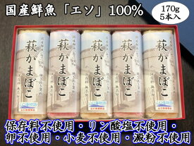 【ふるさと納税】萩かまぼこ 170g 紅白5本【化粧箱入】（国産鮮魚エソ100％）