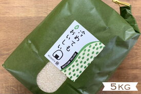 【ふるさと納税】コシヒカリ 5kg みのる米 野菜ソムリエ プロselect 萩のお米 萩市 むつみ産 米 お米 白米