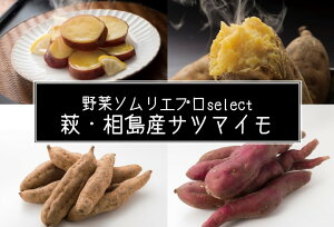 yӂ邳Ɣ[ŁzTc}C 4kg EY ؃\G vselect   