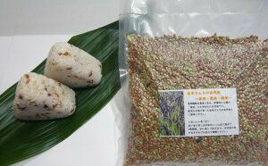 yӂ邳Ɣ[Łzy352047001030z Ñ Zbg 300g×1 Ñ3500g×2 N   {ĂȂ