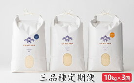 【ふるさと納税】定期便 三品種 米 令和7年 10kg×3回 コメ こめ 萩産 KAMITAMA