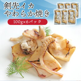 【ふるさと納税】イカ 剣先イカ やわらか焼き 剣先イカ専門店こだわりの木桶仕込み醤油×甘糀で漬けたイカ焼き 6個 セット
